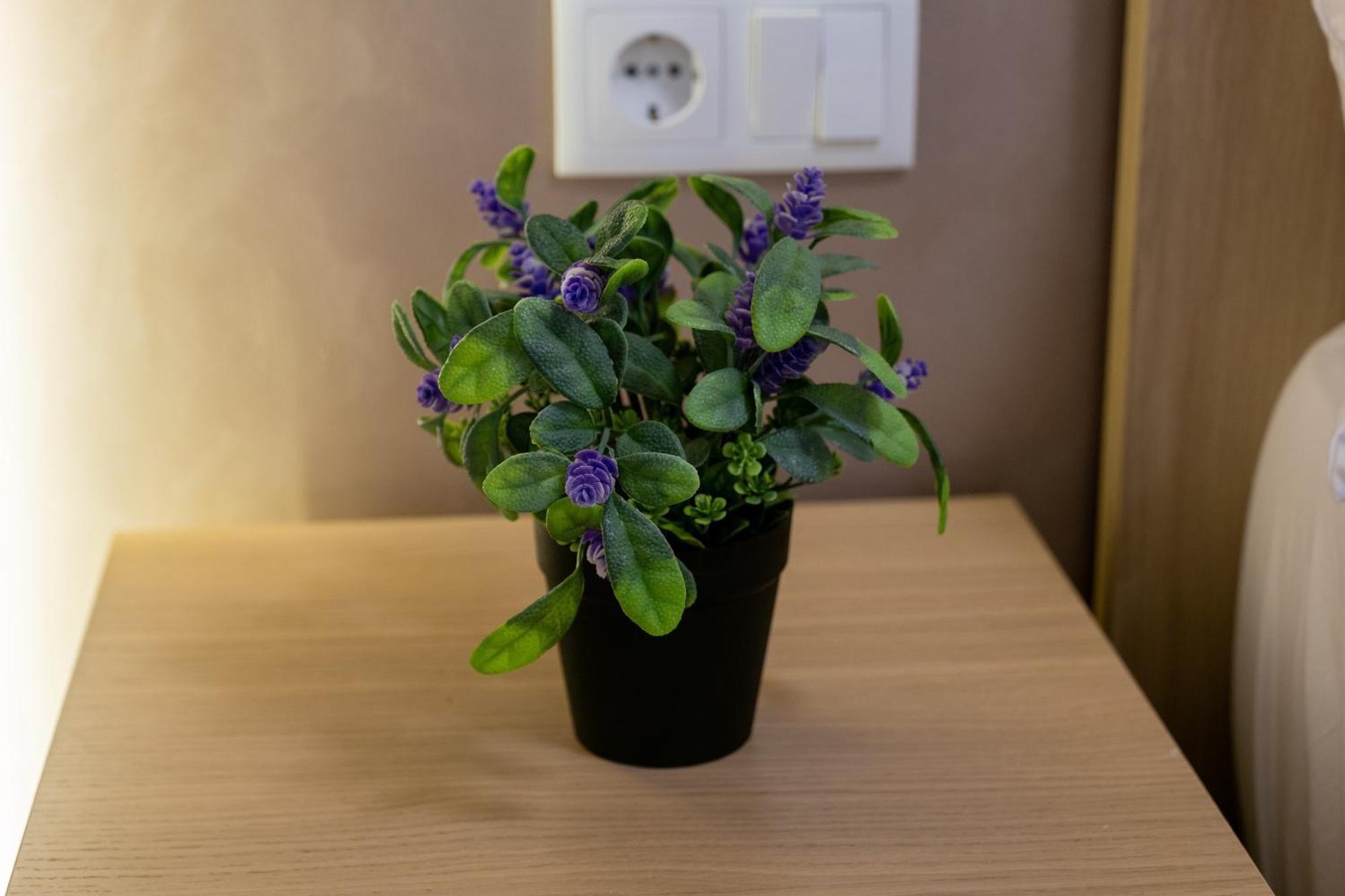 Apartamento Turistico Lux Center Valencia Luaran gambar