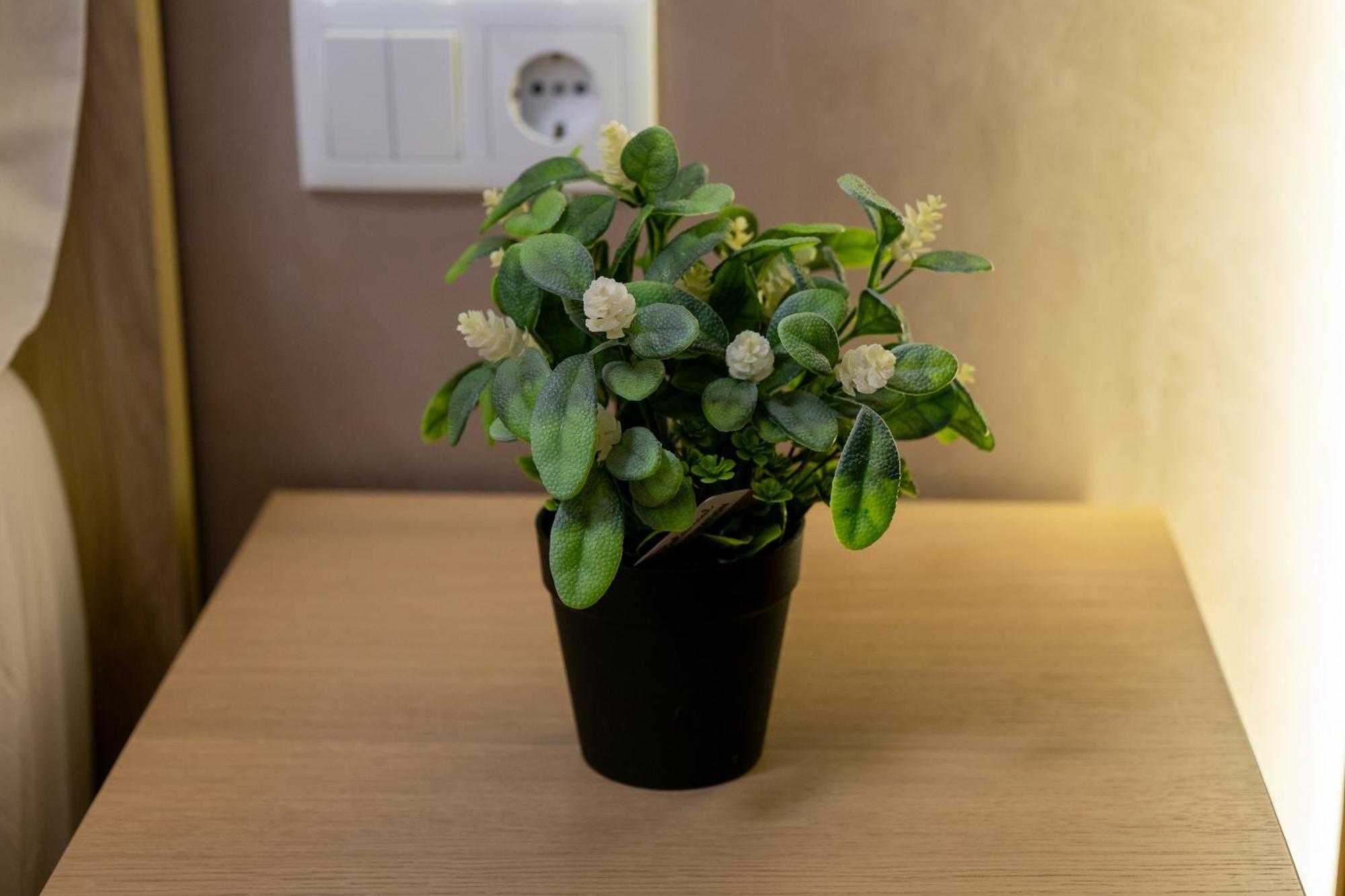 Apartamento Turistico Lux Center Valencia Luaran gambar